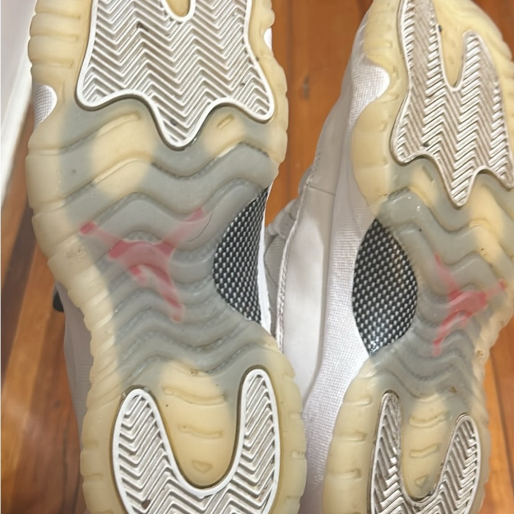 PLATINUM TINT JORDAN 11